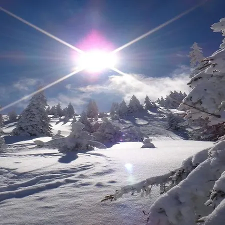 Apartment Weinberg By Managers *