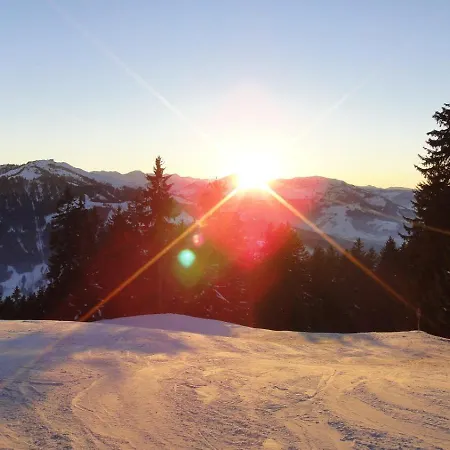Weinberg By Managers Apartment Kirchberg in Tirol